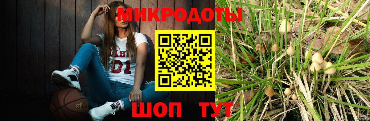 как найти закладки  Вход с VPN  Псилоцибиновые грибы прущие грибы  Краснокаменск  Псилоцибиновые грибы Cubensis 